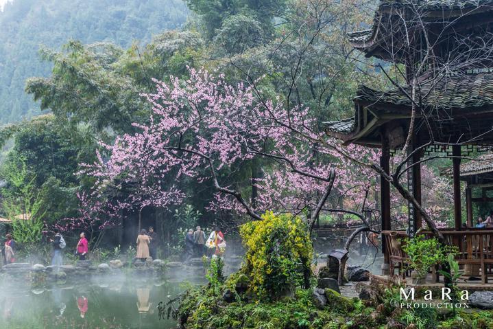 逃离地下古寺庙2